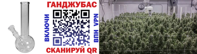 Где продают наркотики Остров Амфетамин  Марихуана  СК  Меф мяу мяу  Галлюциногенные грибы  ГАШ 