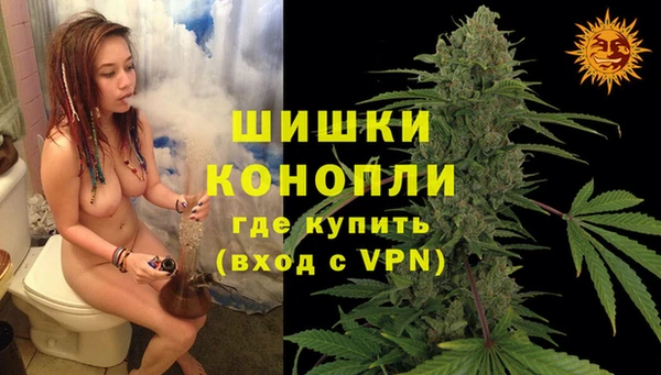 мяу мяу мука Надым
