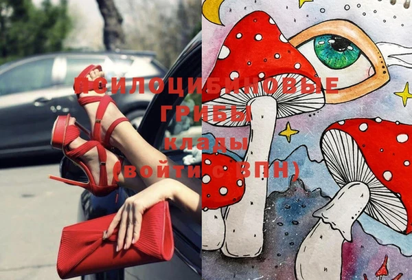 дживик Навашино